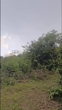 Đất thổ cư 1ha tại Khánh Vĩnh - Giá chỉ từ 20 tỷ, sổ hồng chính chủ!