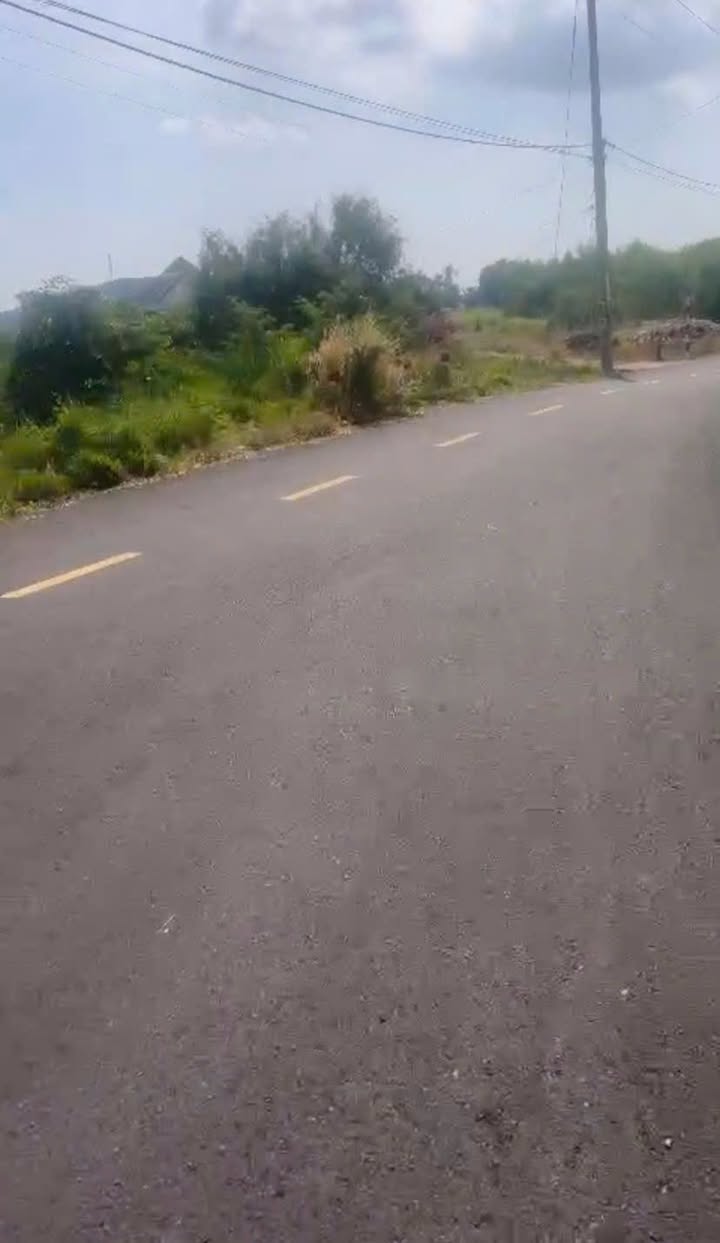 Đất nền 7200m² tại Thị trấn Đất Đỏ, Bà Rịa - Vũng Tàu chỉ 2 tỷ - Đầu tư lý tưởng!