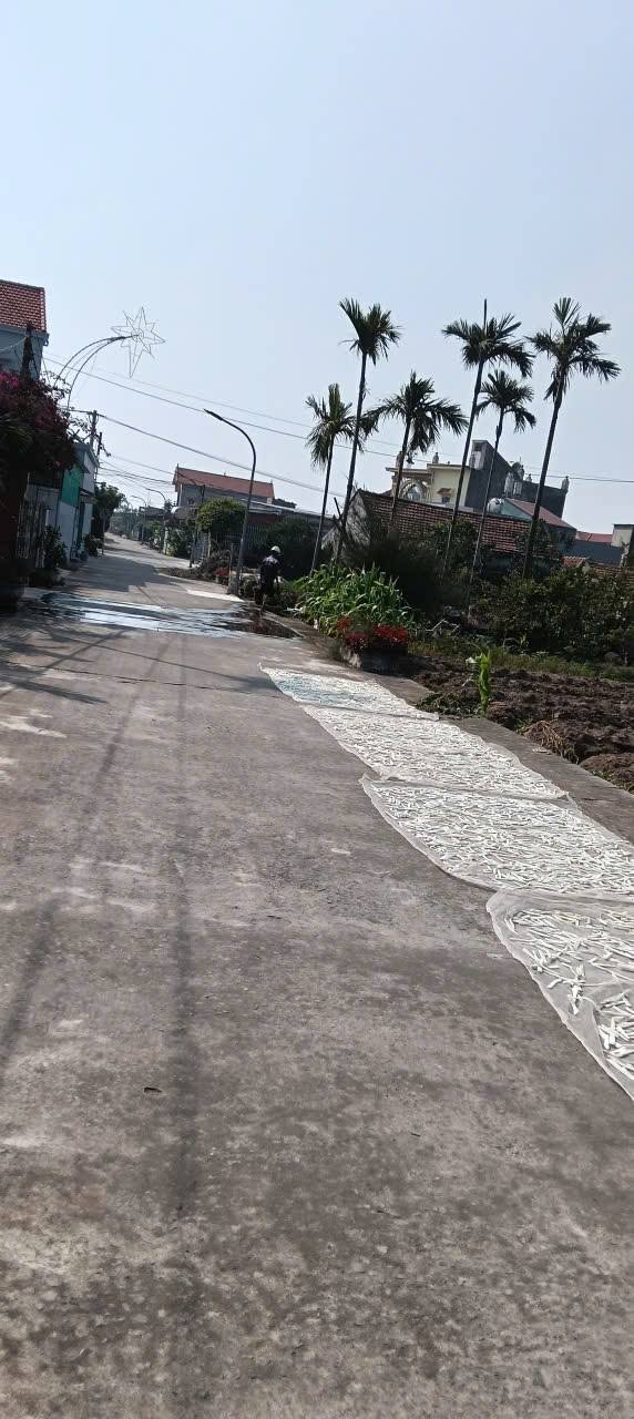 Đất nền tổ dân phố 3 Thịnh Long 150m² giá 1.5 tỷ - Hướng Đông, vị trí thuận lợi!