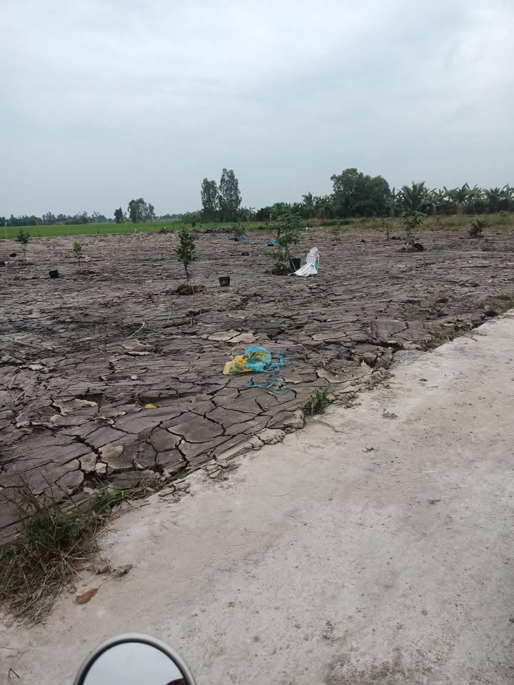 Đất nền xã Dương Tơ, Phú Quốc 2000m² giá 790 triệu - Mặt tiền 32m, lộ ô tô