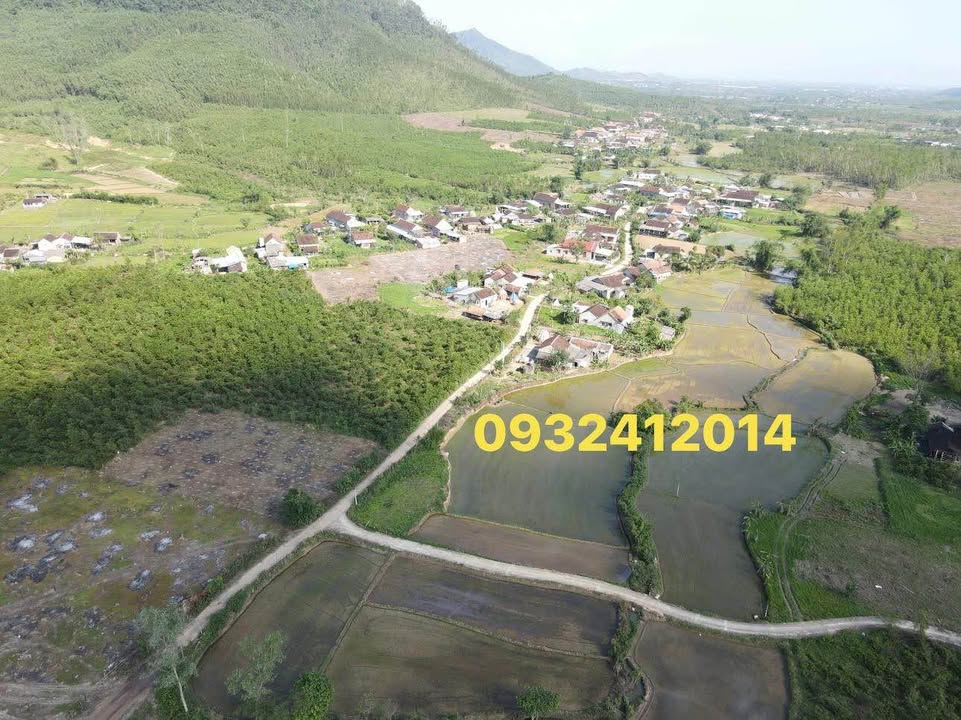 Đất Farm 3000m² tại Thôn Thọ Tân Nam, An Nhơn Tây - Cơ hội đầu tư tuyệt vời!