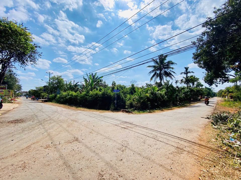 Đất nền Buôn Ma Thuột 310m² giá 2.39 tỷ - Đầu tư sinh lời cực tốt!