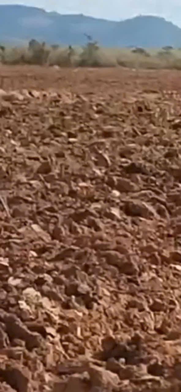 Farm 300ha tại Xã Ea Bung, Huyện Ea Súp, Đắk Lắk - Giá chỉ 21 tỷ!