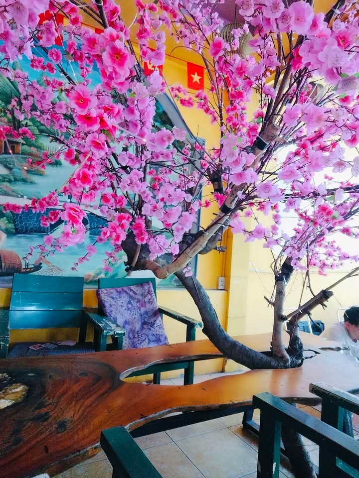 Đất nền Phường An Bình, Dĩ An 48m² giá 1.25 tỷ - Vị trí đẹp, đầu tư sinh lời!