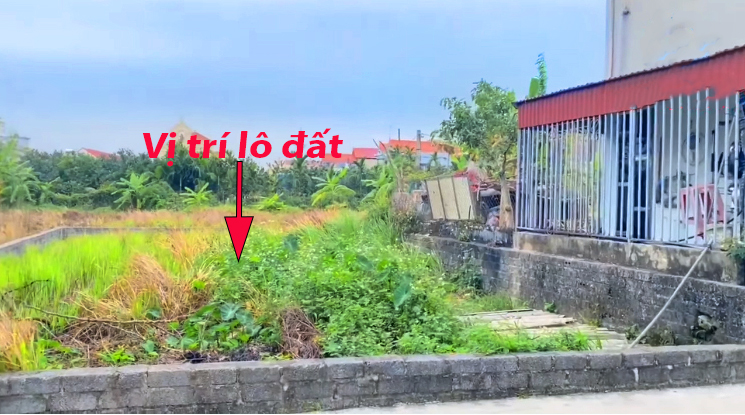 Lô đất đẹp tại xã Xuân Ngọc, Nam Định 153m² - Mặt tiền 8,3m, cơ hội đầu tư tuyệt vời!