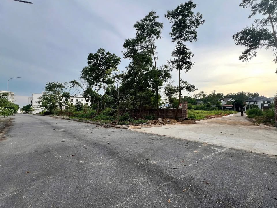 Đất nền Parkhill Định Trung Vĩnh Yên 82.5m² giá chỉ 1.6 tỷ - Cơ hội đầu tư hấp dẫn!