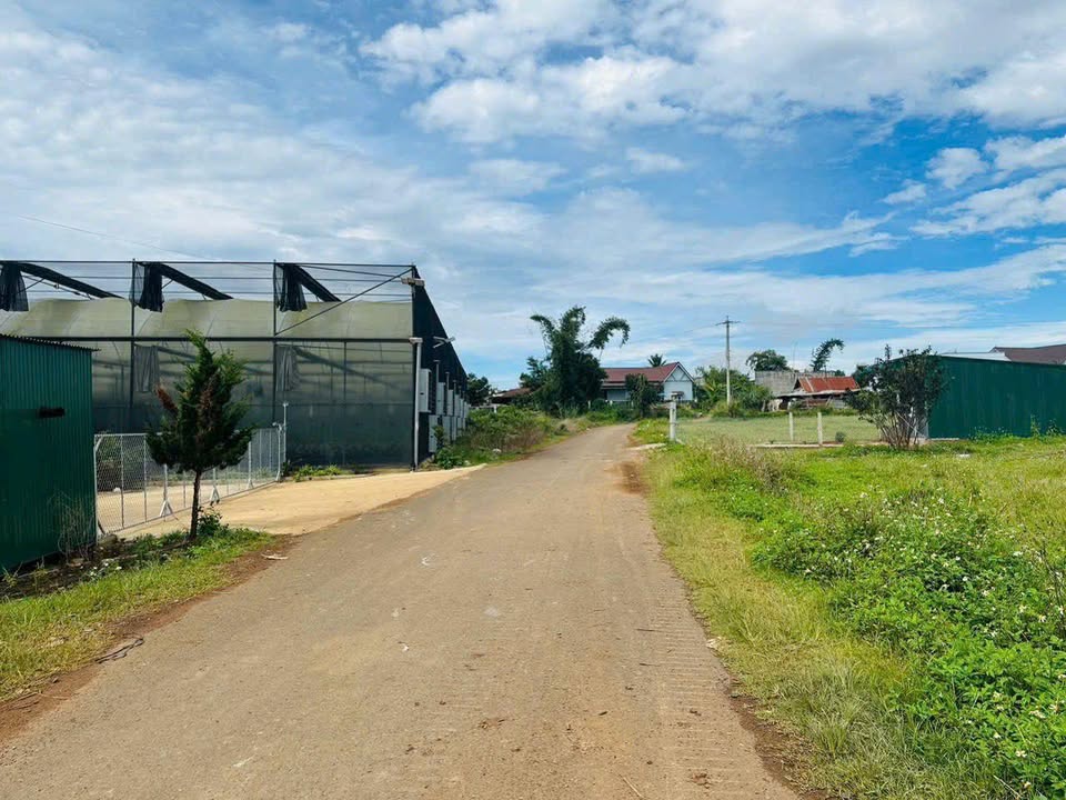 Đất thổ cư 160m² tại Phú Hội, Đức Trọng giá 890 triệu - Nằm gần QL20!