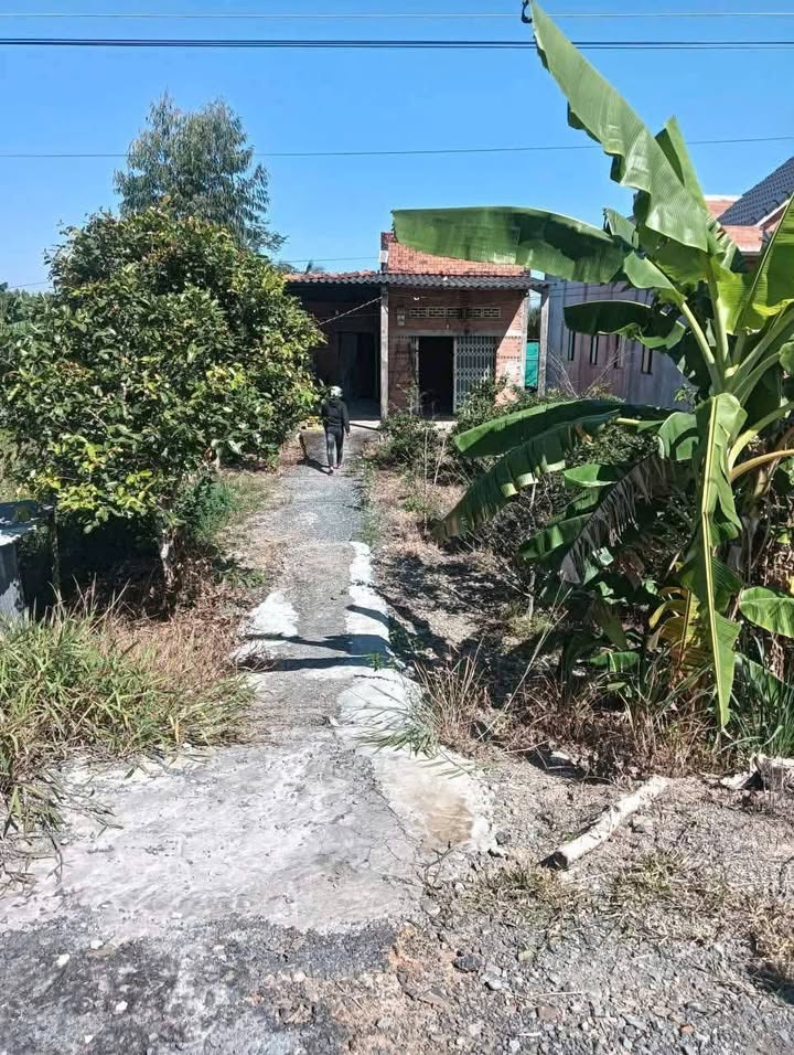 Bán gấp nhà mặt tiền đường nhựa Thủy Đông, Thạnh Hóa, Long An - Diện tích 396m² chỉ 1.2 tỷ!