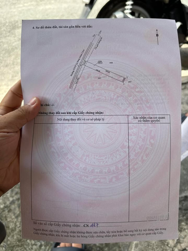 Đất nền 1000m² xã Tân Tây, Thạnh Hoá - Giá chỉ 1.6 tỷ, pháp lý rõ ràng!