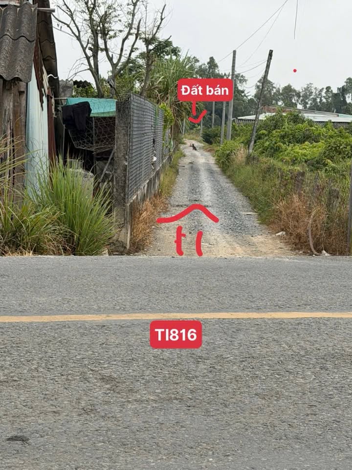 Đất thổ cư 500m² TL816 Bến Lức giá 480 triệu - Cơ hội đầu tư tuyệt vời!