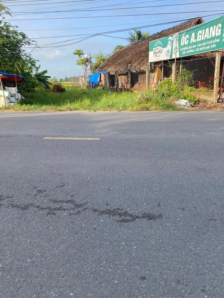 Đất thổ cư chính chủ mặt tiền đường Tỉnh Lộ 9, 200m² giá 3.5 tỷ - Cơ hội đầu tư hấp dẫn!