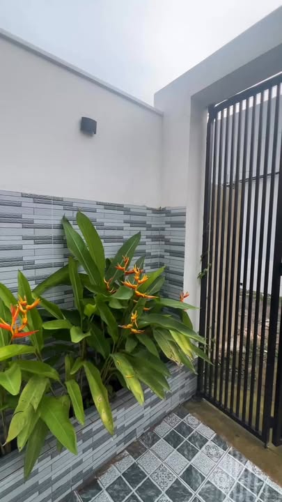 Nhà đẹp tại Mỹ Hạnh Nam, Đức Hòa, Long An - Diện tích 106m² giá chỉ 2.49 tỷ!