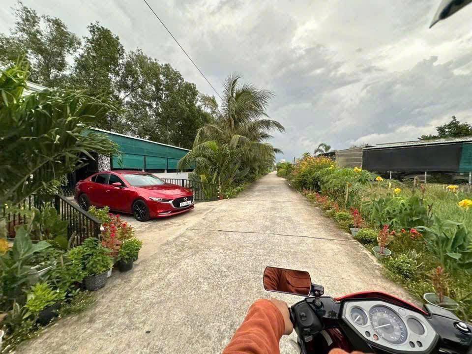 Đất nền 1.015m² tại ấp Chánh, Long Hiệp giá chỉ 3 tỷ - Đầu tư tiềm năng!