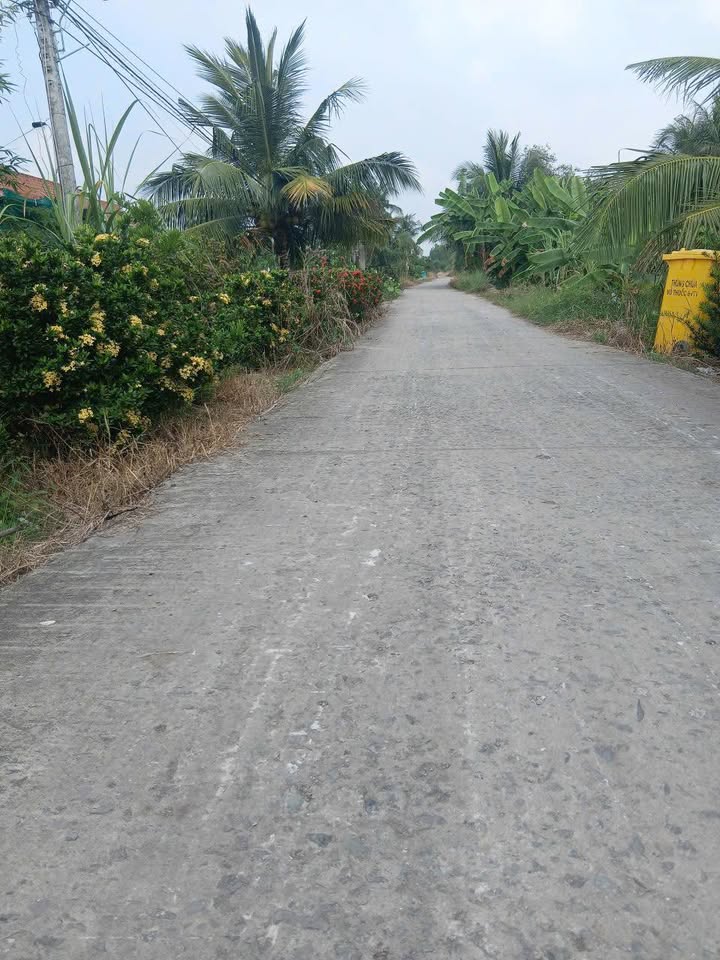 Đất nền mặt tiền đường Đan 2m5, Tân Hòa Thành, 175m², giá 350 triệu - Sổ đỏ chính chủ!