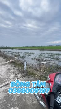 Đất nền liền kề tại Phước Sơn, Tuy Phước, 260m² giá 1.5 tỷ - Đầu tư sinh lời!