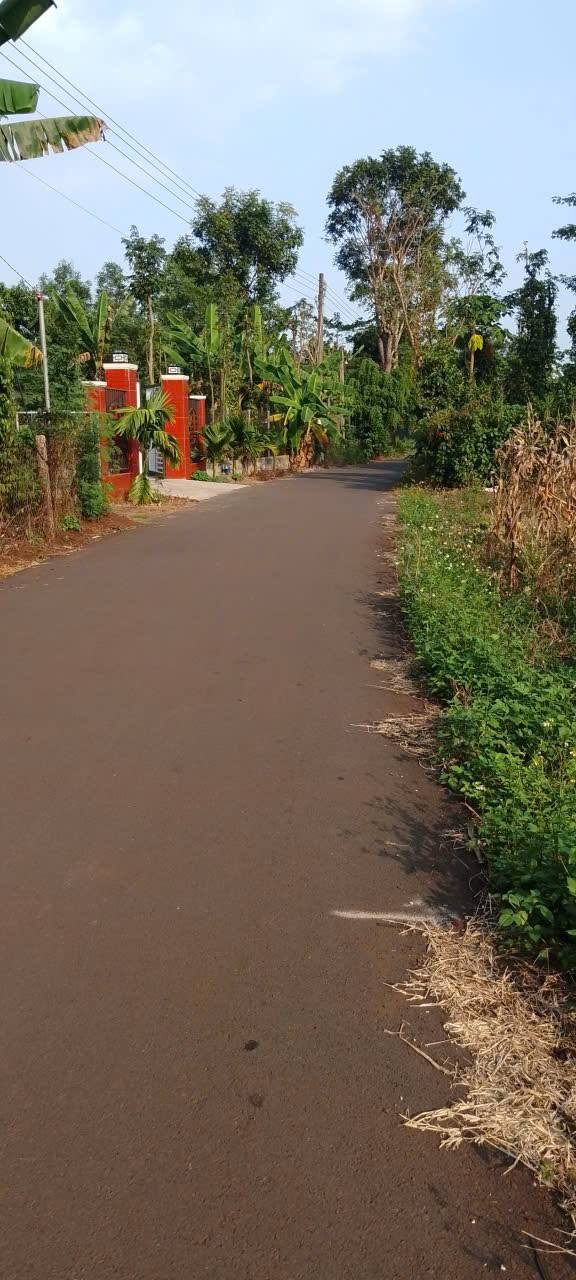 Đất thổ cư Đá Bạc, Châu Đức 600m² giá 1.05 tỷ - Cơ hội đầu tư tuyệt vời!