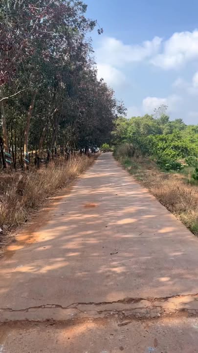 Đất nền 30000m² tại xã Phước Tân, huyện Phú Riềng - Cơ hội đầu tư tuyệt vời!