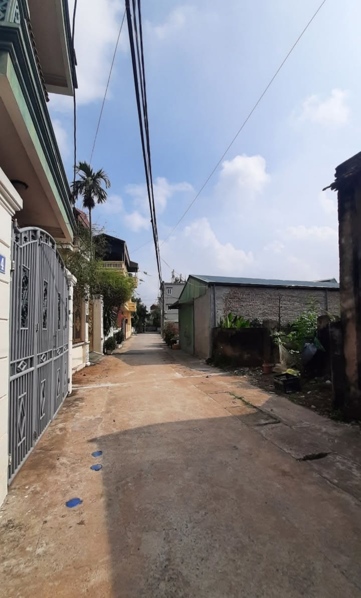 Bán đất lô góc Ninh Xá, Thanh Trì 59m² giá chỉ 4.x tỷ - Ô tô vào tận nơi!