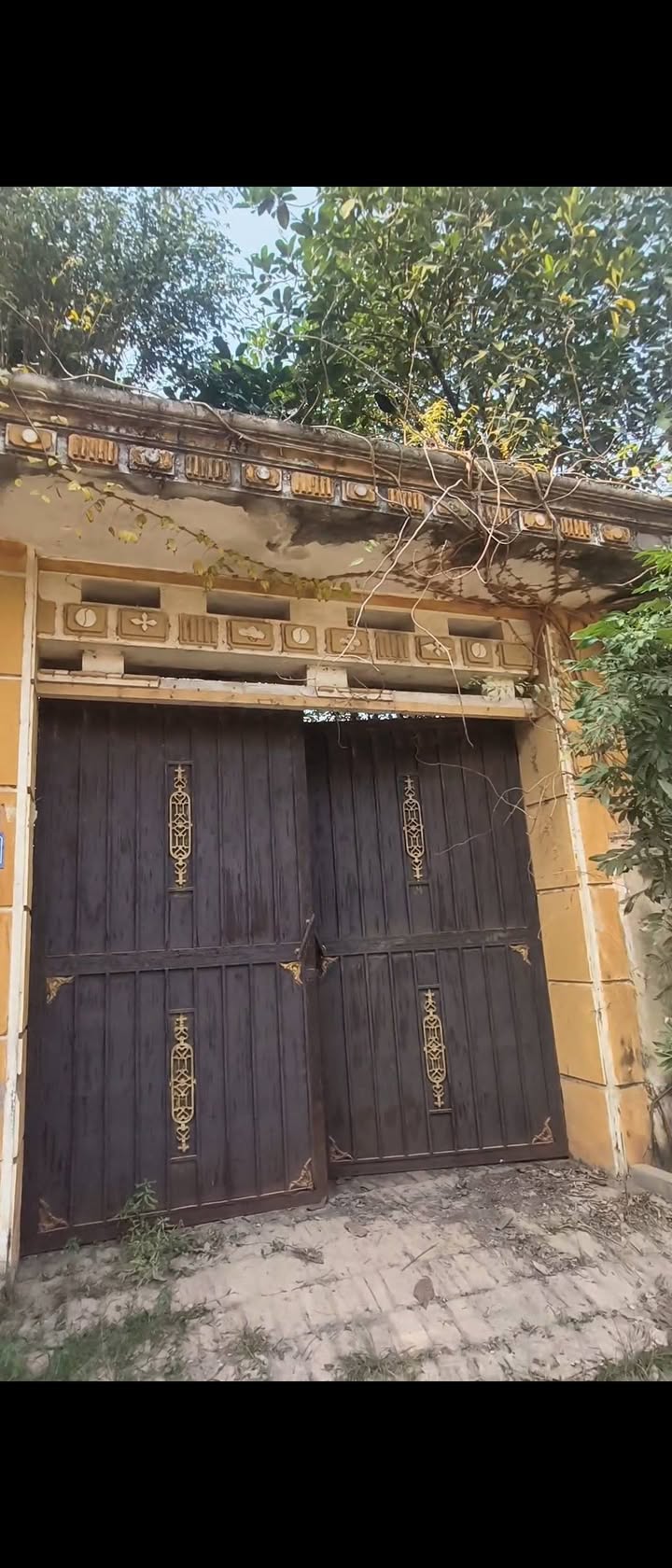 Đất nền Đa Hội, Sóc Sơn 470m² giá thỏa thuận - Cơ hội đầu tư hấp dẫn!