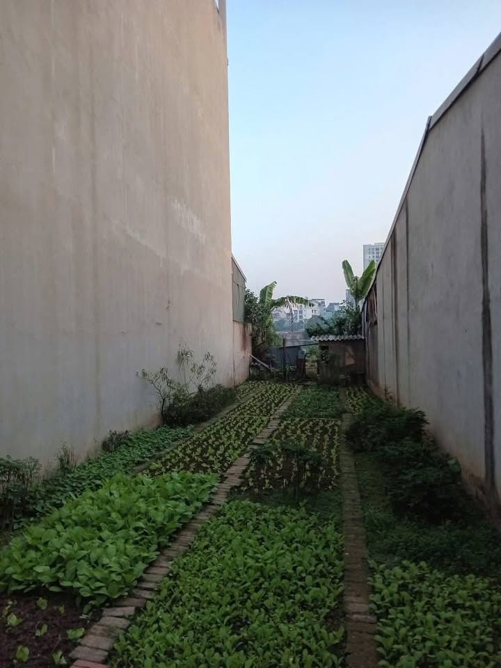 Đất Tam Trinh Hoàng Mai 112.5m² giá 20.5 tỷ - Sổ đỏ chính chủ, ô tô vào nhà!