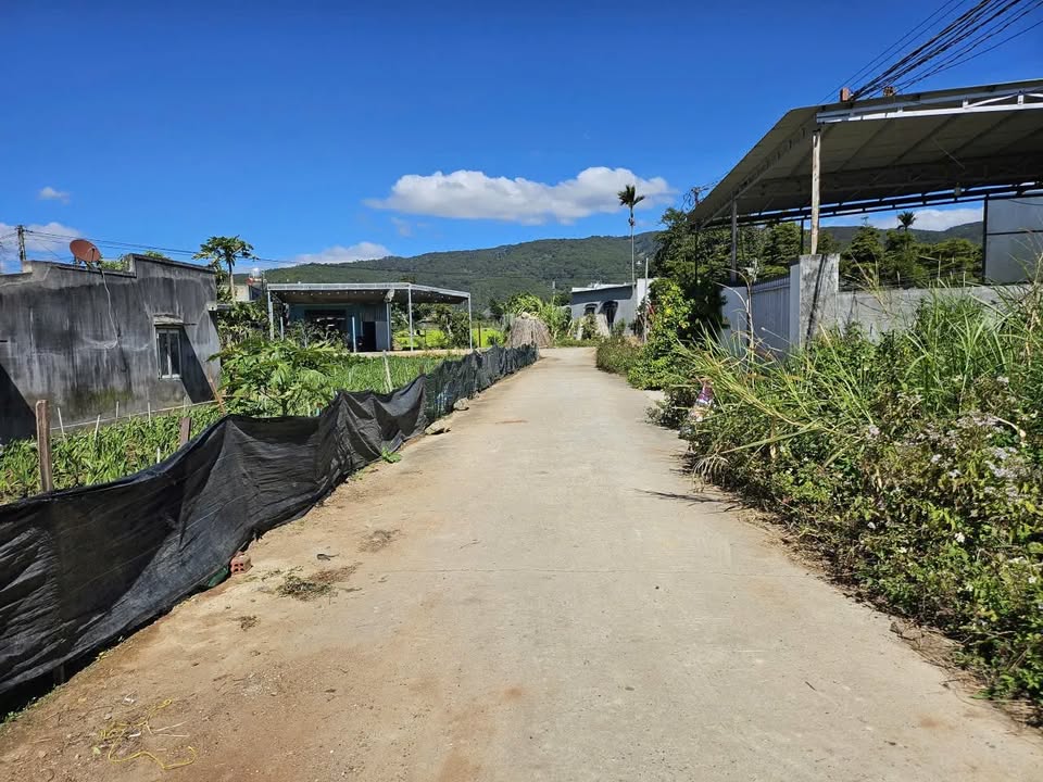 Đất nền Thạnh Mỹ, Đơn Dương 125m² giá chỉ 570 triệu - Đầu tư sinh lời ngay!