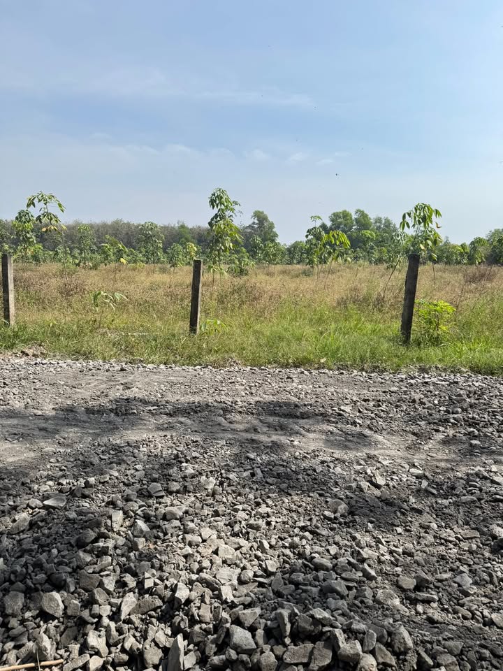 Đất thổ cư 185m² xã Bến Cầu, Tây Ninh - Giá chỉ 280 triệu, sổ hồng riêng!