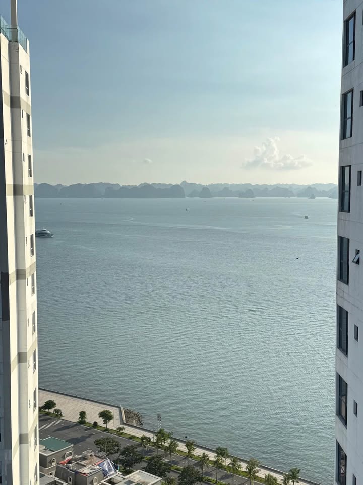 Căn hộ Sapphire 2n1vs Hạ Long 50m² giá 2.6 tỷ - Full nội thất cao cấp 5*