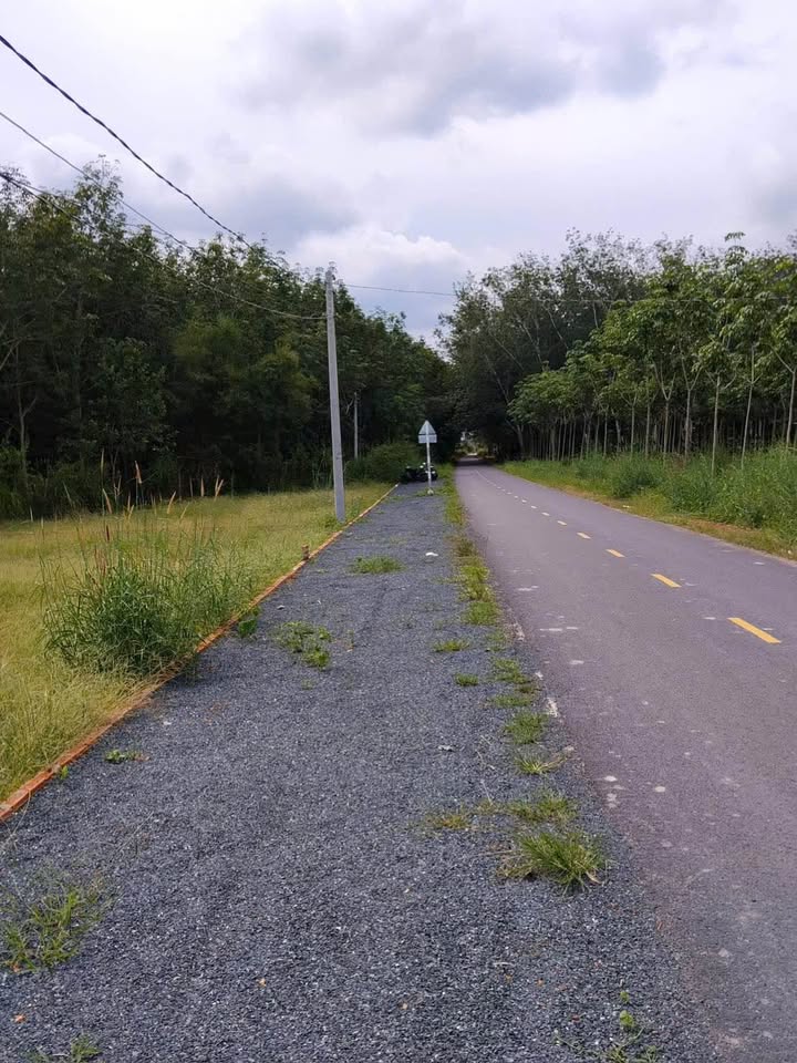 Đất thổ cư Minh Thạnh, Dầu Tiếng 200m² giá chỉ 199 triệu - Cơ hội đầu tư tuyệt vời!