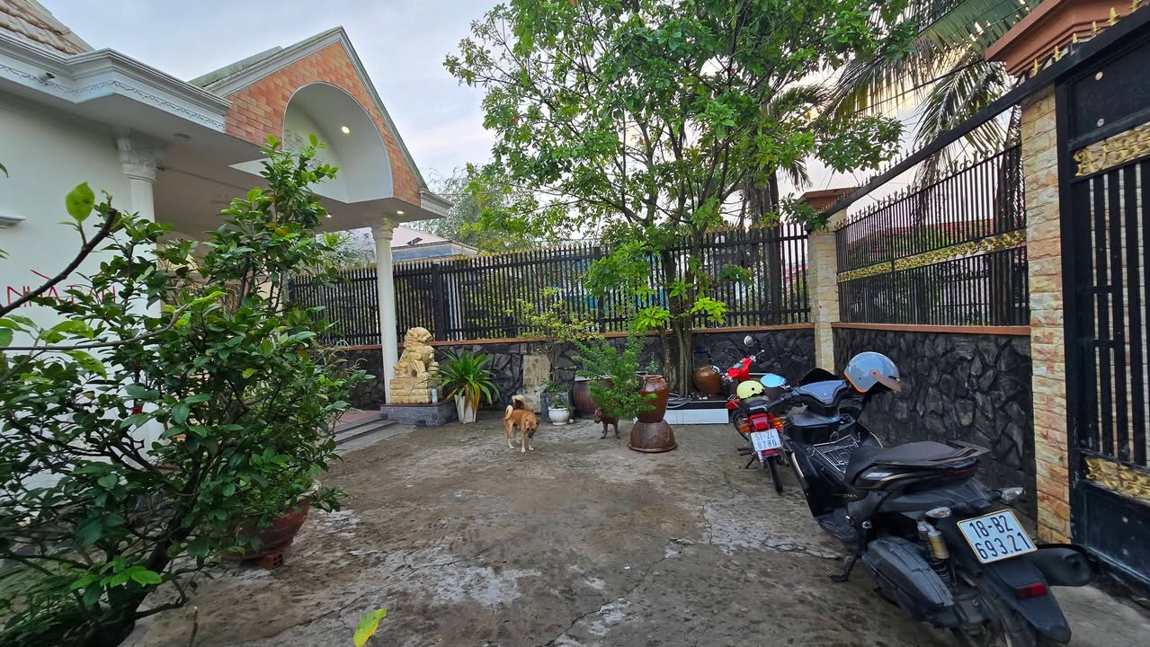 Bán nhà vườn 500m² tại Hưng Long, Bình Chánh - Giá chỉ 8.8 tỷ!