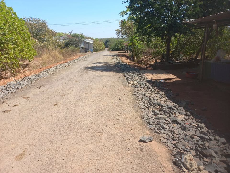 Đất nông nghiệp Quốc lộ 14C, Quận Bình Tân 10,000m² - Giá cực tốt, sẵn sàng giao dịch!