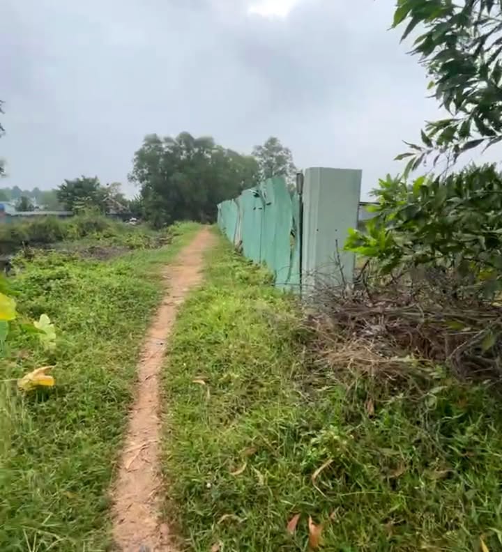 Đất trồng cây Đông Thạnh 2200m² giá 3 tỷ - Sổ riêng chính chủ!