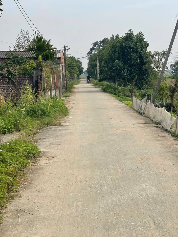 Đất nền Khu Kinh Tế Chuyên Biệt Hải Phòng 87.8m² giá chỉ 5xx triệu - Cơ hội đầu tư hấp dẫn!