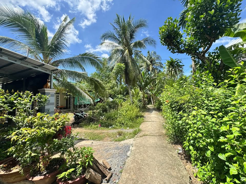 Nhà cấp 4 Tích Thiện, Trà Ôn 378m² giá 600 triệu - Đường nhựa, gần chợ