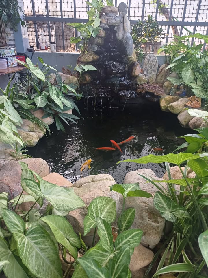 Đất vườn mini tại thôn An Hà 1, Tư Nghĩa 200m² giá 600 triệu - Không thể bỏ lỡ!