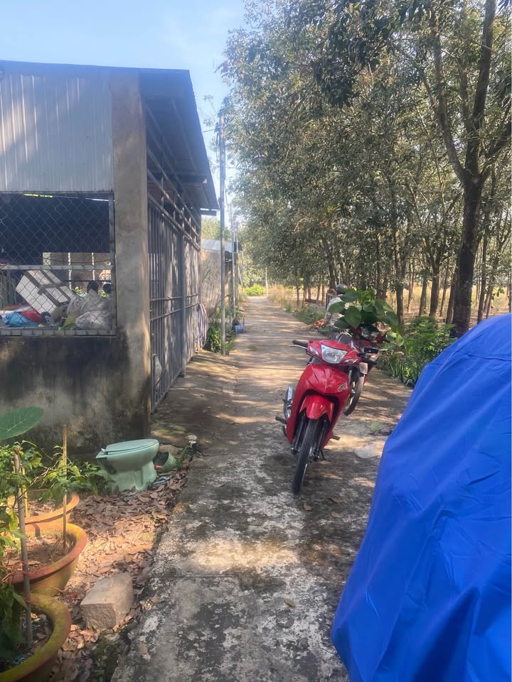 Đất thổ cư An Viễn, Trảng Bom 102m² giá chỉ 500 triệu - Cơ hội đầu tư tuyệt vời!