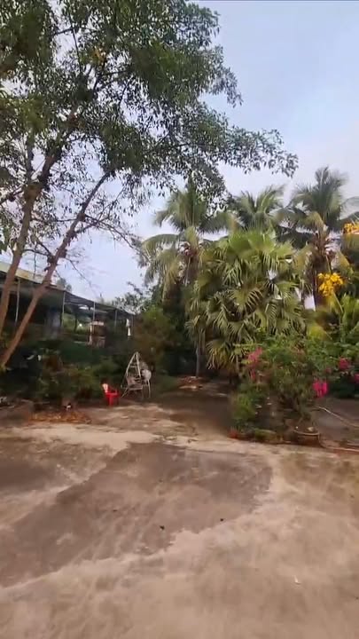 Đất mặt tiền đường Nguyễn Hoàng, xã Sông Trầu, 858m² giá 5.8 tỷ - Cơ hội đầu tư tuyệt vời!