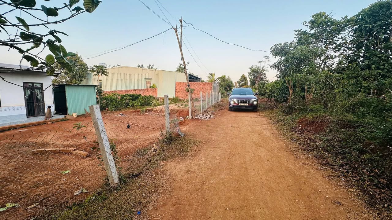 Đất nền phường Hội Phú 185m² giá chỉ từ 200 triệu - Cơ hội đầu tư hấp dẫn!