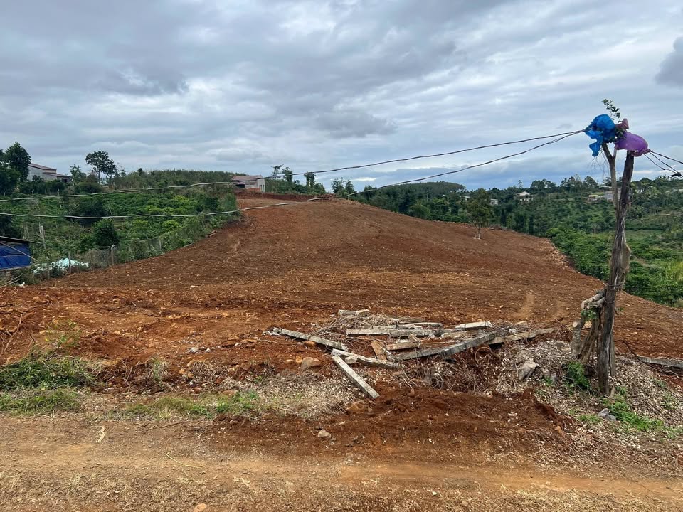 Đất nền 7,7 sào tại Đắk Mil, Đắk Nông - Giá chỉ 3,1 tỷ, thương lượng ngay!