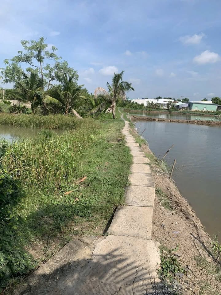 Đất vườn 1100m² Phước Lại - Giá chỉ 1.3 tỷ, sổ hồng chính chủ!