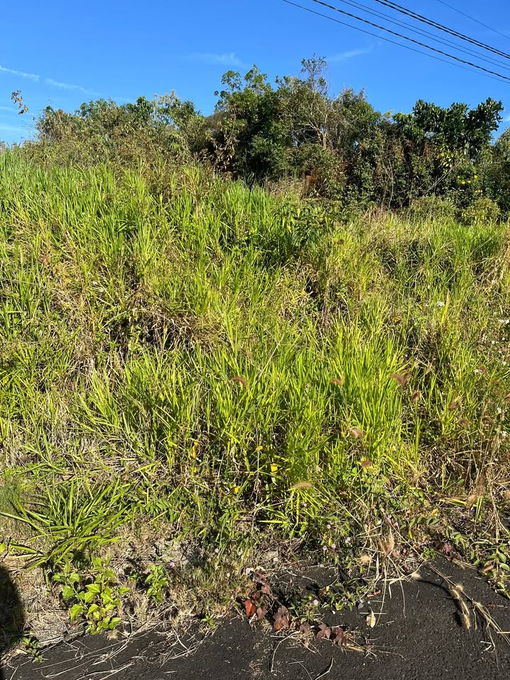 Đất phường B'lao, Bảo Lộc 508m² giá 2.8 tỷ - Sổ đỏ chính chủ, 2 mặt tiền