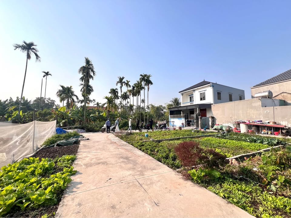 Đất nền Lâm Động, Thủy Nguyên, Hải Phòng 60m² - Giá tốt chỉ 1.2 tỷ!