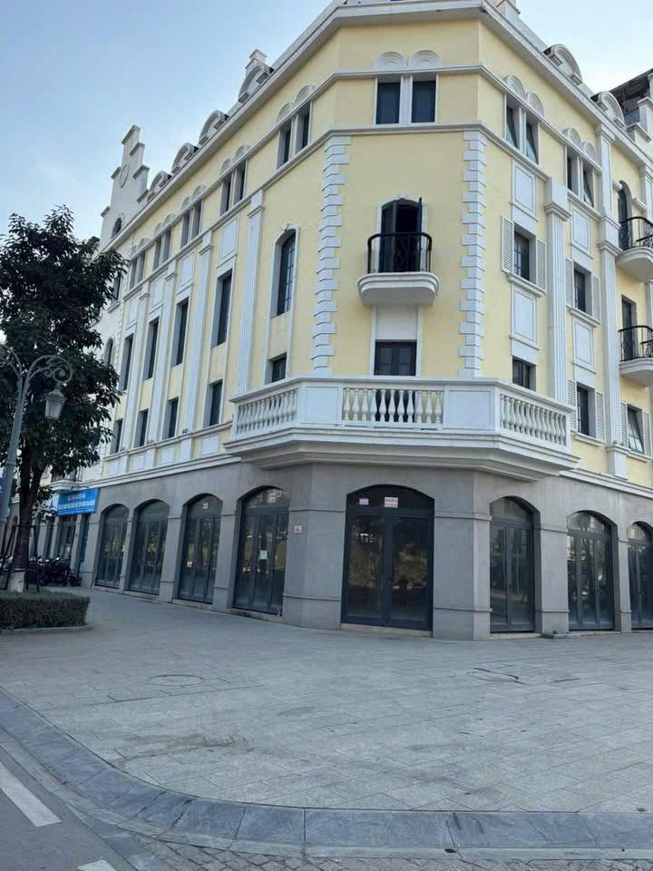 Shophouse Euro Hạ Long 150m² giá 30 triệu - Địa điểm kinh doanh lý tưởng!