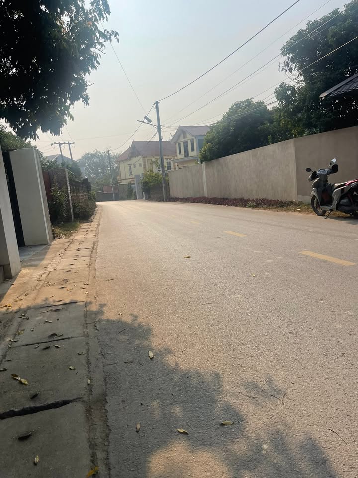 Đất mặt đường Kinh Doanh, Đông Anh 1000m² giá 1 tỷ - Đầu tư sinh lời ngay!