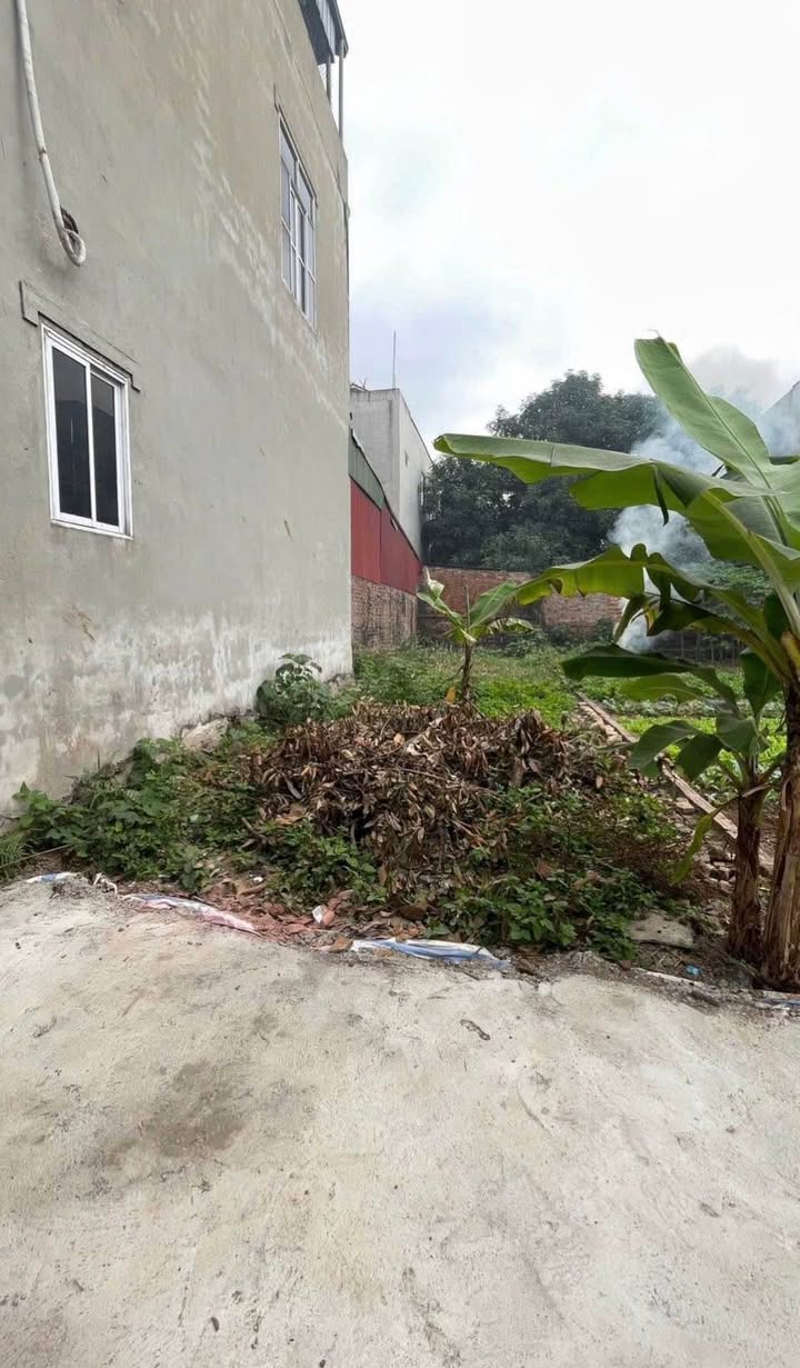 Đất thổ cư 70m² tại Phù Trì, Mê Linh chỉ hơn 2 tỷ - Cơ hội đầu tư tuyệt vời!