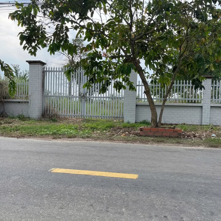 Đất Mặt tiền Bàu Tre, Củ Chi 2800m² giá 8.4 tỷ - Tiềm năng đầu tư lớn!