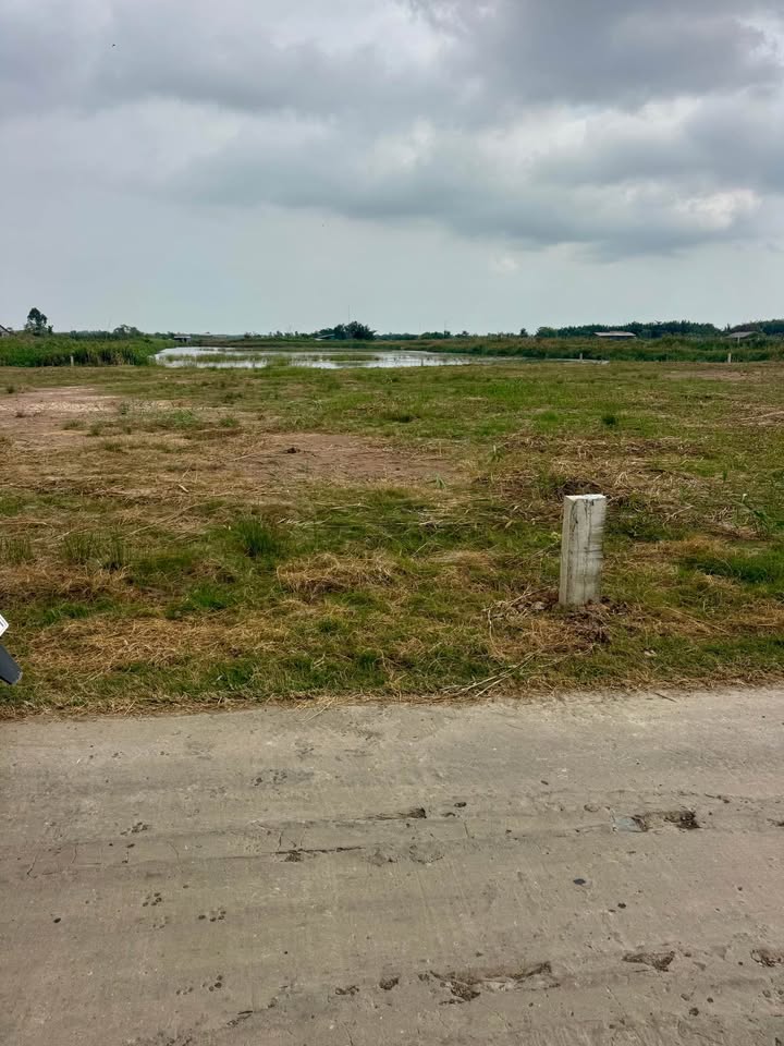 Đất nền liền kề Đường 30/4, xã Phú Tân, 2000m² giá chỉ 230 triệu - Sổ hồng chính chủ!