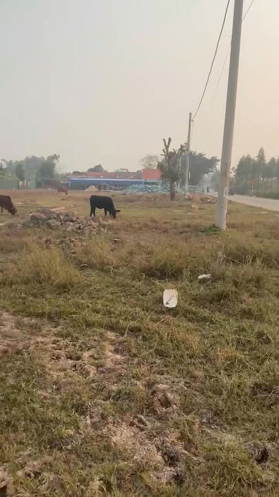 Lô đất 150m² tại Tam Nông, Phú Thọ - Sổ đỏ chính chủ, giá thỏa thuận!