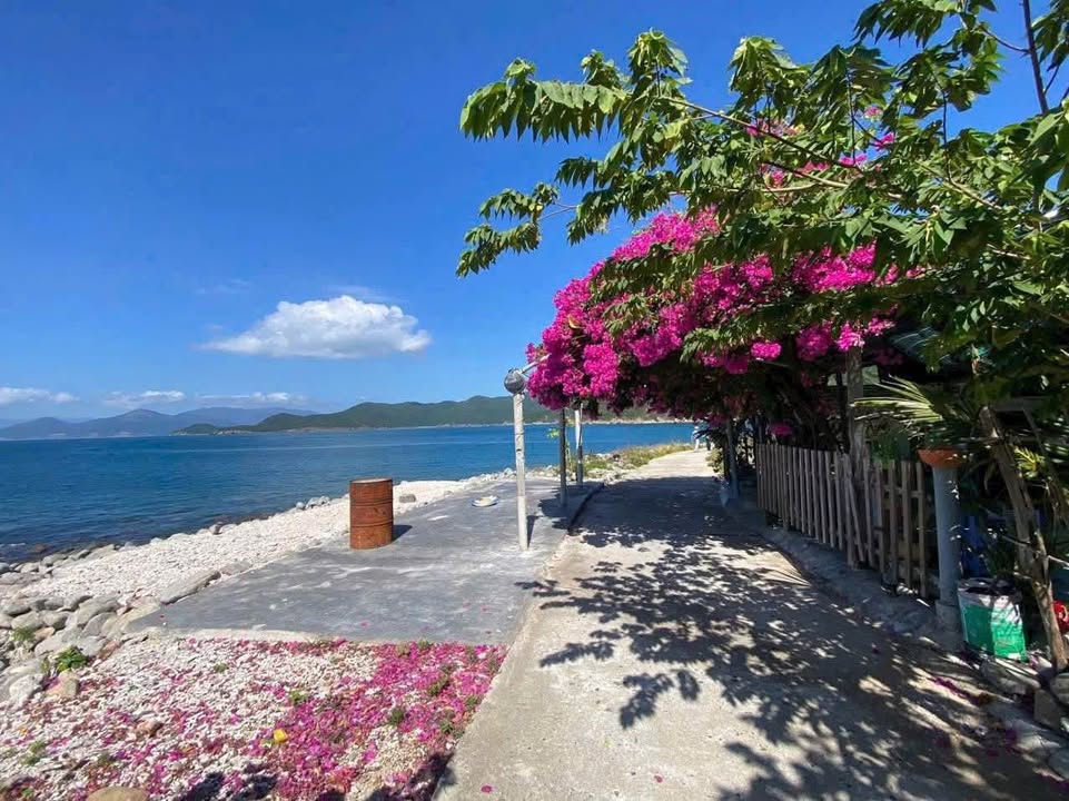 Bán lô đất Đảo Bích Đầm, Nha Trang 149.9m² giá 3.7 tỷ - View biển tuyệt đẹp!