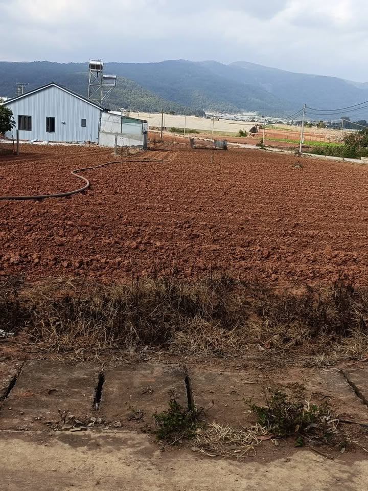 Lô đất thổ cư 75m² tại Thạnh Mỹ, Đơn Dương giá 880 triệu - Đường rộng ô tô tránh nhau thoải mái!