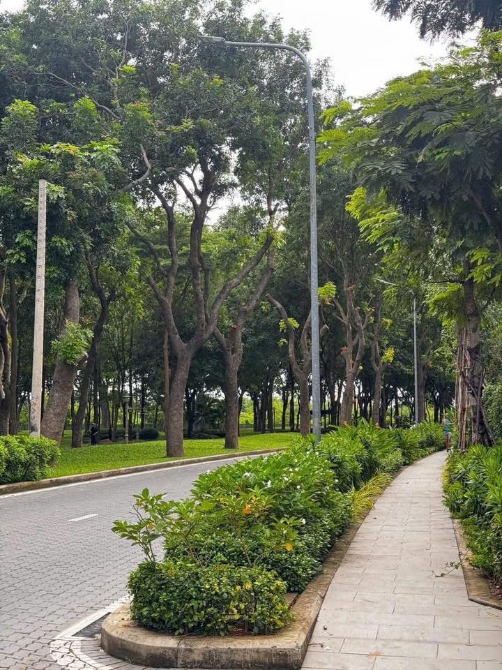 Căn hộ Skylinked Quận 7 175m² giá 11.5 tỷ - Xe hơi lên tận nhà!